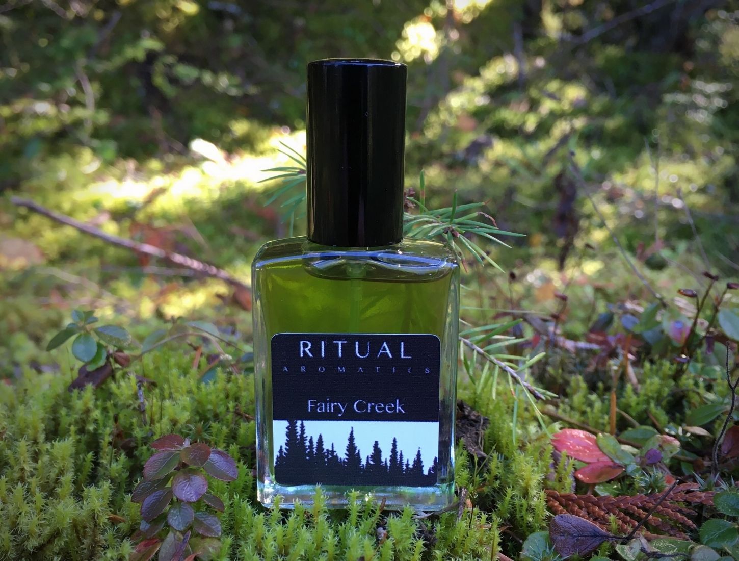 Ritual Aromatics Natural and Botanical Perfume bottle in a forest on moss with sunshine