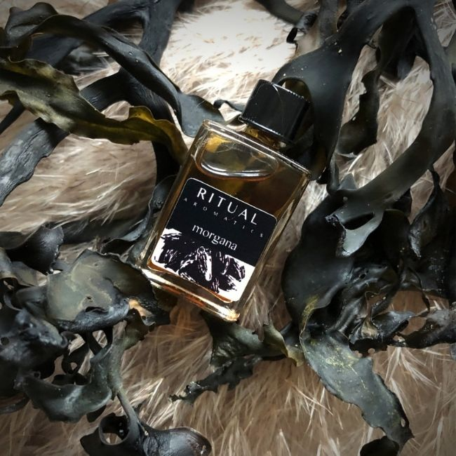 Ritual Aromatics Morgana Botanical Perfume 5ml bottle on seaweed and a cream back ground